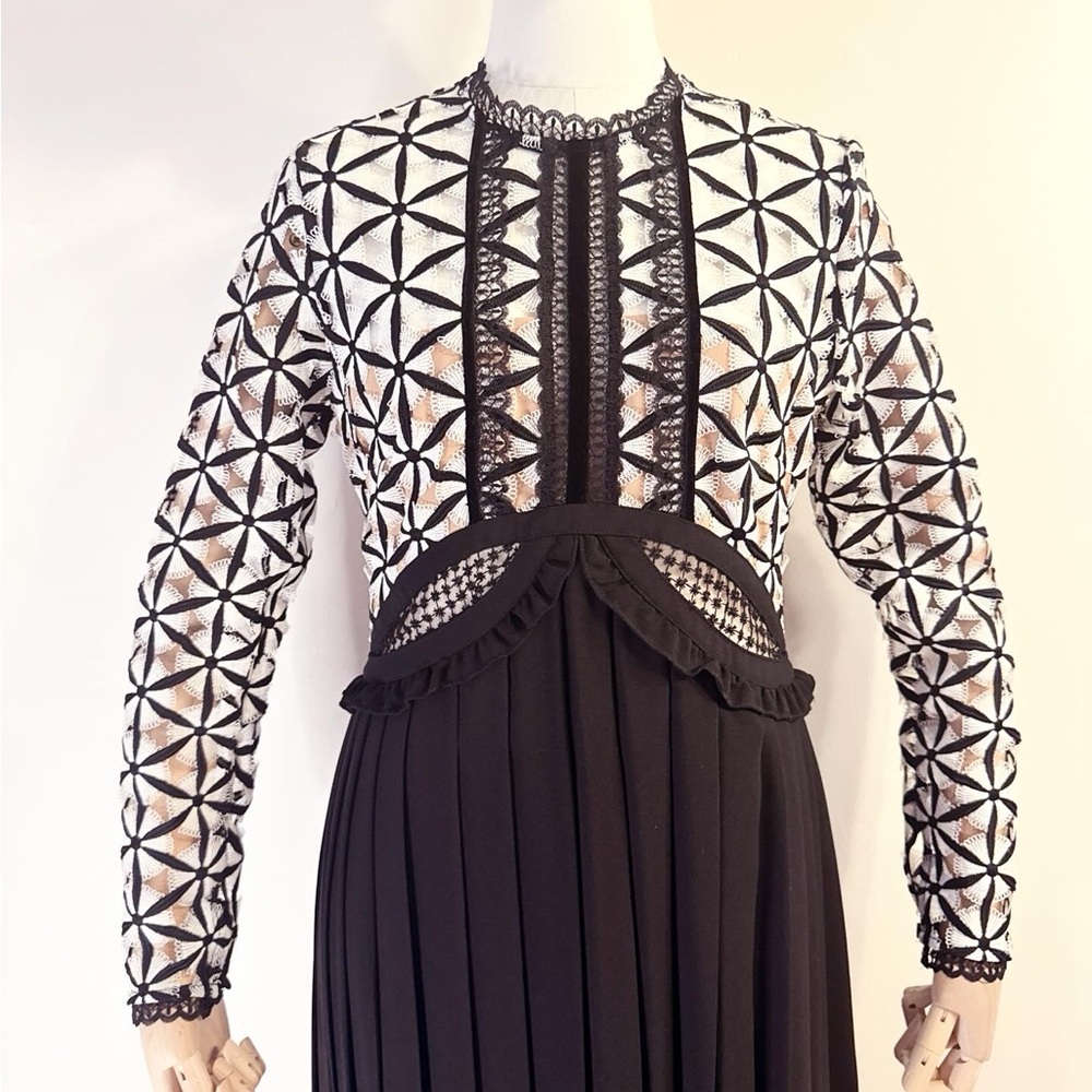 Self-Portrait Black & White Lace Pleated Maxi Dress - Picture 5 of 14